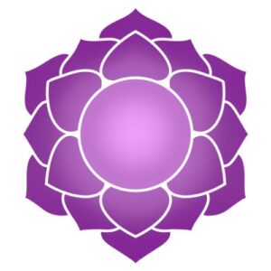 crown chakra affirmations, crown chakra in hindi, crown chakra mudra, crown chakra mantra, crown chakra opening benefits
