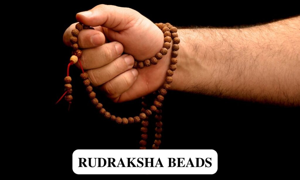rudraksha 21 mukhi price, rudraksha 3 mukhi benefits, rudraksha 4 mukhi benefits, rudraksha 8 mukhi price