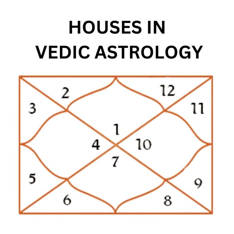 vedic astrology, rahu, rahu in all houses, houses in vedic astrology, rahu in 1st house, rahu in 12th house, rahu in 10th house